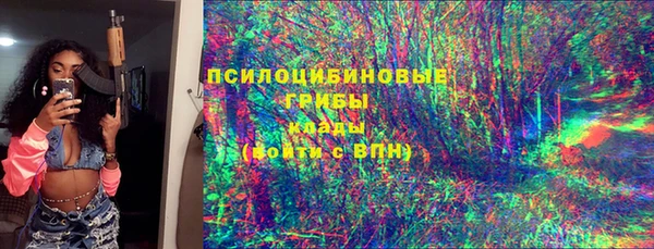 мдпв Арсеньев