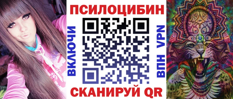 Псилоцибиновые грибы Psilocybine cubensis  где купить наркотик  мега ONION  Жиздра 
